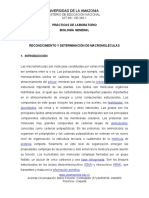 Laboratorio No. 3 Determinación de Macromoléculas