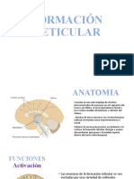 Sist Reticular