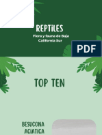 Reptiles: Flora y Fauna de Baja California Sur