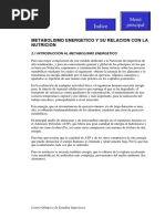 Metabolismo Energético y Su Relación Con La Nutrición - Centro Olímpico de Estudios Superiores