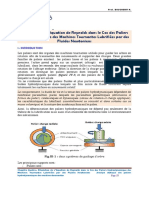 Chapitre Quatre 2022