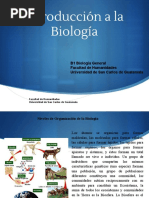 Biología Teorías Del Origen de La Vida