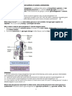 2023 BCH313 Gluconeogenesis and Synthesis of Complex Carbohydrates Notes