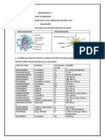 WORK PAPER de Virologia Liz