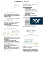 Síndrome Metabólica Resumo