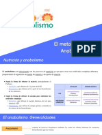 El Metabolismo II. Anabolismo