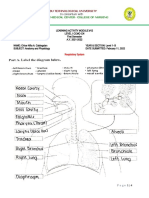 Respiratory System