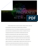 FullSpectrumMindfulness 1 Esp