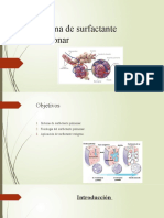 Sistema de Surfactante Pulmonar