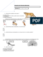 Prueba Ciencias