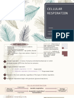 (BIOLOGY) Cellular Respiration