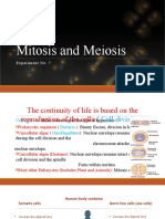 Mitosis and Meiosis