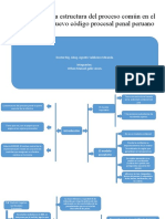 La Estructura Del Proceso Común en El Nuevo Código Procesal Penal Peruano