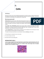 Cells Assignment