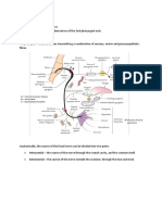 The Facial Nerve Notes