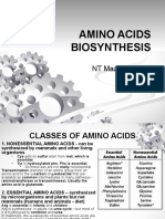 2023 BCH313 Amino Acid Synthesis