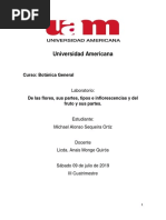 Universidad Americana: Curso: Botánica General