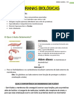 Membranas Biológicas Aim 2 - Bases