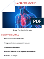 Sistema Circulatório