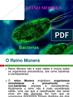 Reino Monera: Bactérias