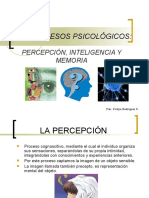 Los Procesos Psicológicos:: Percepción, Inteligencia Y Memoria