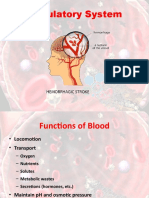 Circulatory System