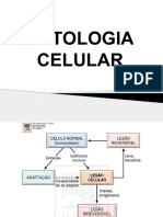 Aula 2 - Patologia Celular