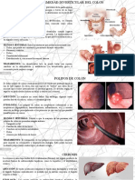 Semiologia Sistema Digestivo