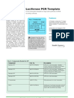 Luciferase PCR Template For IVT