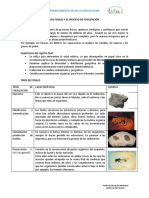 Guía de Ciencias Los Fosiles