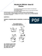 Prova Simulada de Cic3aancias Global III Plantas