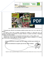 Atividade 9 3o Ano CN Tema Caracteristicas Dos Animais - Morfologia e Habitos Dos Animais