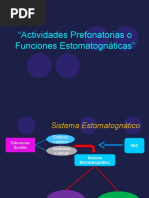 Actividades Prefonatorias o Funciones Estomatognáticas