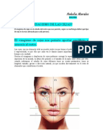 27 Guía de Visagismo y Tipos de Rostro