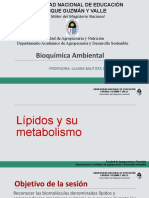 Lípidos y Metabolismo