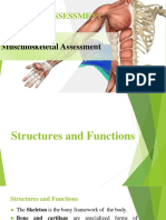 Week 13 Musculoskeletal Assessment