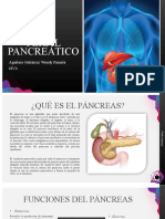 Perfil Pancreatico