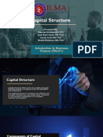 Capital Structure