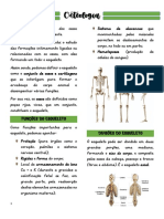 Osteologia AULA 2