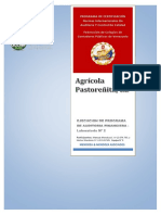 Ensayo Ejecución de Auditoría 01 PDF