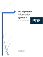 Management Information Systems I