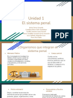 Unidad 1 El Sistema Penal 