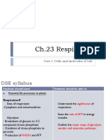 Ch23 Respiration