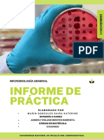 P3. Informe Sobre Agentes Físicos y Químicos en El Desarrollo Microbiano