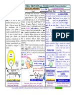 Schéma de Construction Des Structures de Personnalité Sur Les Angoisses Existentielles