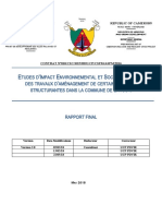 05 09 18 EIES BATOURI Rapport Final