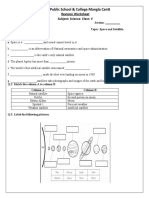 Grade V Science Worksheet Space and Satellite