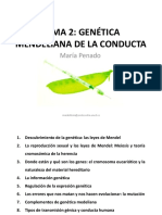 Tema 2 - 1 Diapositivas Psicobiologia