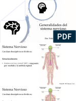 Generalidades Del Sistema Nervioso 2