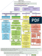 Dengue Classificacao Risco Manejo Paciente